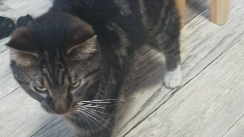 Zdjęcie aktualizacji 184 808