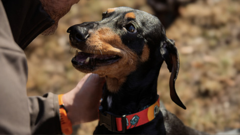 Zdjęcie aktualizacji 184 815