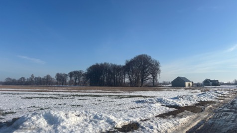 Zdjęcie aktualizacji 184 826