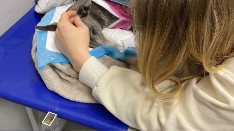 Zdjęcie aktualizacji 184 837