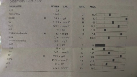 Zdjęcie aktualizacji 184 847