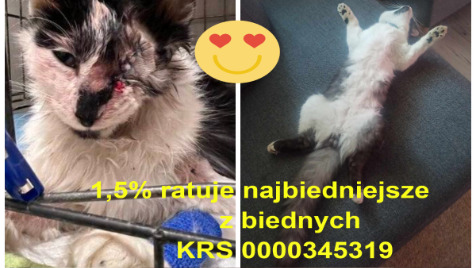 Zdjęcie aktualizacji 184 916