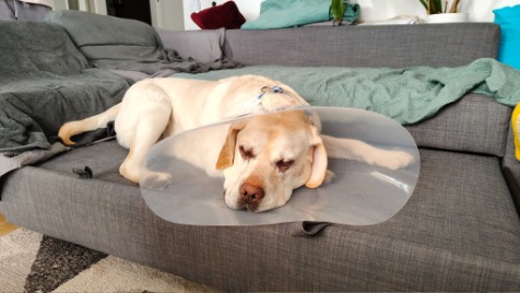 Zdjęcie aktualizacji 184 923