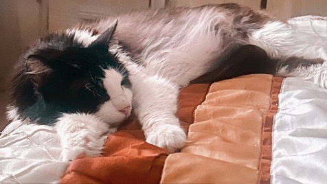 Zdjęcie aktualizacji 184 955