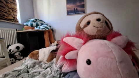 Zdjęcie aktualizacji 184 989