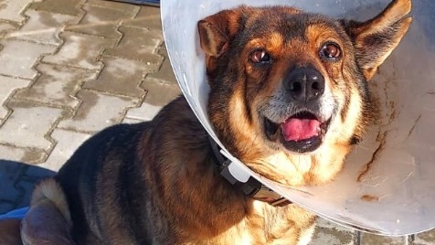 Zdjęcie aktualizacji 184 991