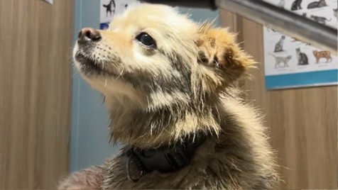 Zdjęcie aktualizacji 184 993