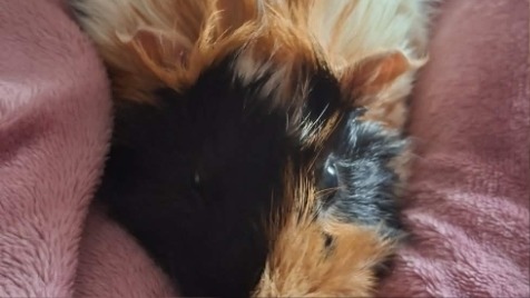 Zdjęcie aktualizacji 185 030