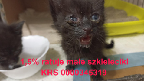 Zdjęcie aktualizacji 185 072