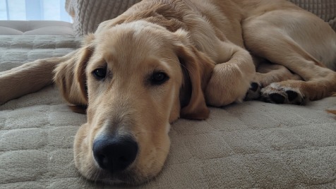 Zdjęcie aktualizacji 185 101