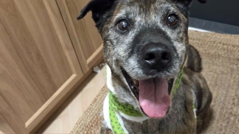 Zdjęcie aktualizacji 185 123