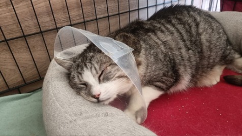 Zdjęcie aktualizacji 185 148