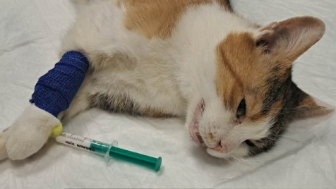 Zdjęcie aktualizacji 185 153