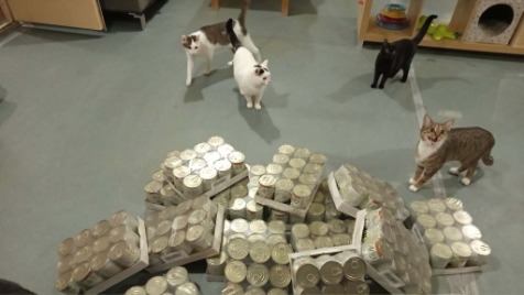 Zdjęcie aktualizacji 185 154