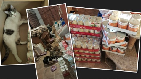 Zdjęcie aktualizacji 185 242