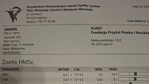 Zdjęcie aktualizacji 185 302