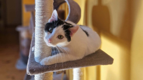 Zdjęcie aktualizacji 185 436