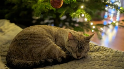 Zdjęcie aktualizacji 185 838