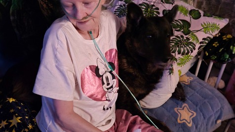 Zdjęcie aktualizacji 185 863