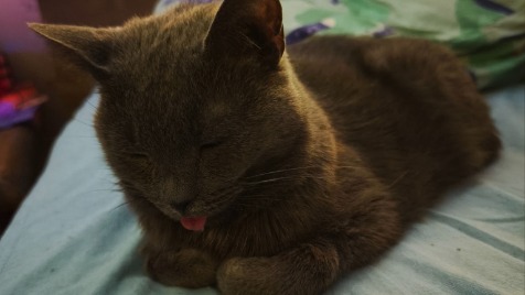 Zdjęcie aktualizacji 186 015