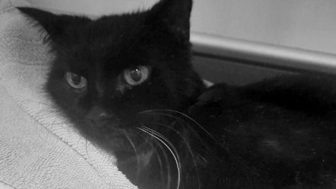 Zdjęcie aktualizacji 186 051