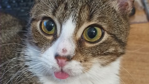 Zdjęcie aktualizacji 186 147