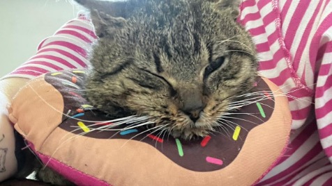 Zdjęcie aktualizacji 186 150