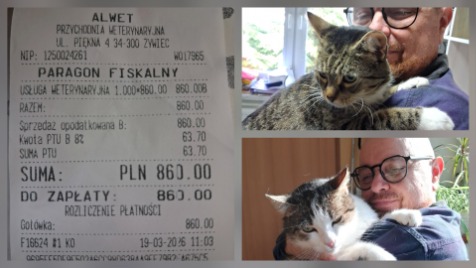 Zdjęcie aktualizacji 186 319