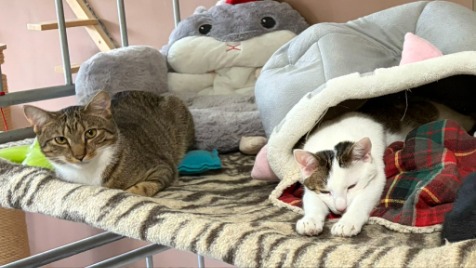 Zdjęcie aktualizacji 186 493