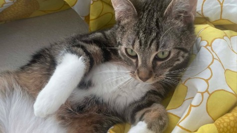 Zdjęcie aktualizacji 186 541