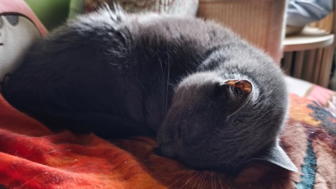 Zdjęcie aktualizacji 186 646