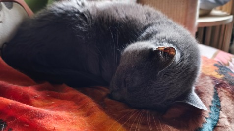 Zdjęcie aktualizacji 186 647