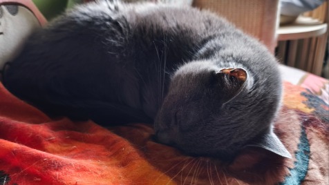 Zdjęcie aktualizacji 186 648