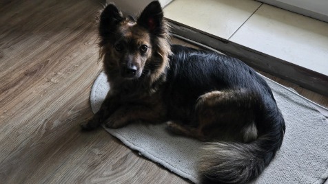 Zdjęcie aktualizacji 186 665