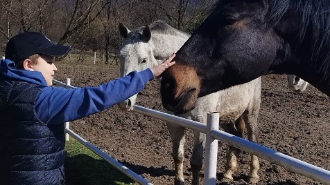 Zdjęcie aktualizacji 186 679