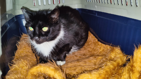 Zdjęcie aktualizacji 186 701