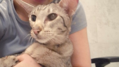 Zdjęcie aktualizacji 186 829