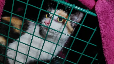 Zdjęcie aktualizacji 186 831