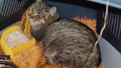 Zdjęcie aktualizacji 186 890