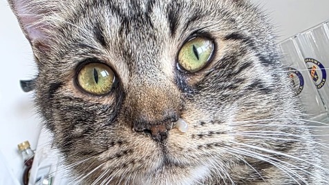 Zdjęcie aktualizacji 186 960