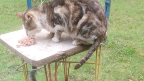 Zdjęcie aktualizacji 186 963