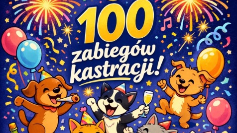 Zdjęcie aktualizacji 187 061