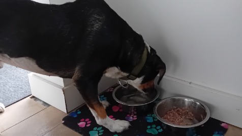 Zdjęcie aktualizacji 187 139