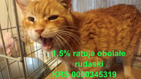 Zdjęcie aktualizacji 187 157