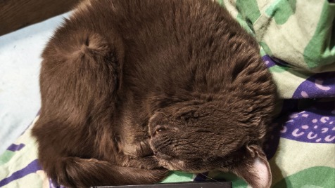 Zdjęcie aktualizacji 187 166