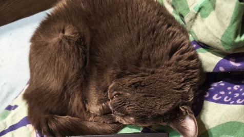 Zdjęcie aktualizacji 187 167