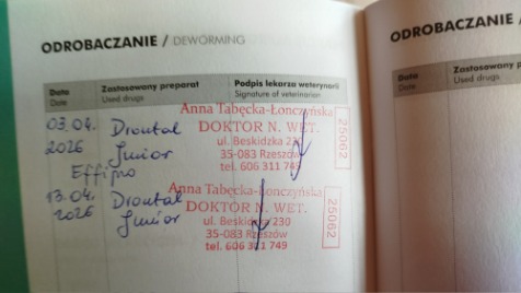 Zdjęcie aktualizacji 187 179