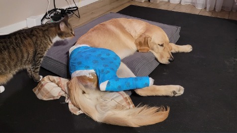 Zdjęcie aktualizacji 187 181