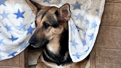 Zdjęcie aktualizacji 187 187