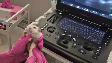 Zdjęcie aktualizacji 187 222